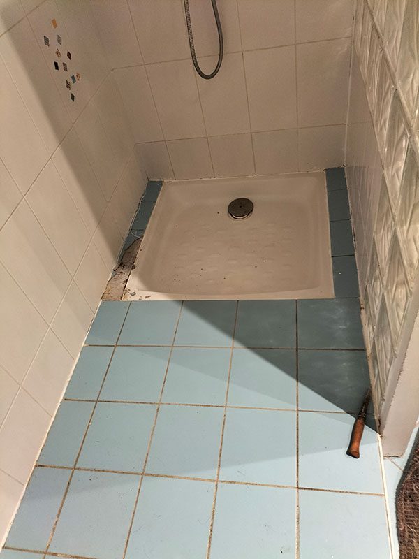 Glyceane paysagiste Aigrefeuille sur Maine réfection salle de bain Aigrefeuille sur Maine - 1